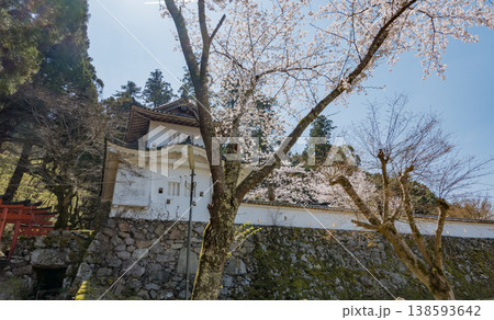 兵庫県豊岡市・桜が満開の出石城跡 兵庫県豊岡市・桜が満開の出石城跡 138593642