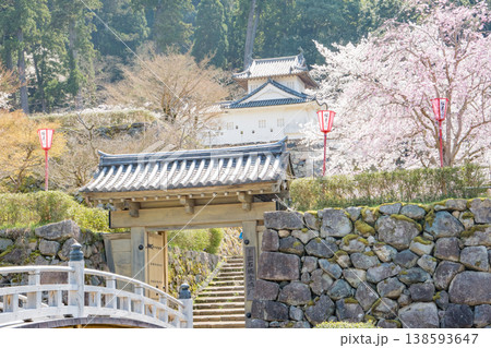 兵庫県豊岡市・桜が満開の出石城跡の登城橋と登城門 兵庫県豊岡市・桜が満開の出石城跡の登城橋と登城門 138593647