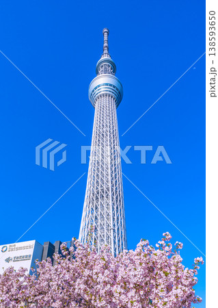 日本の東京都市景観 青空に映える東京スカイツリーと御殿場桜などを望む=4月 日本の東京都市景観 青空に映える東京スカイツリーと御殿場桜などを望む=4月 138593650