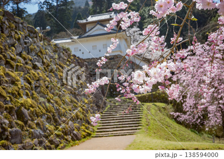兵庫県豊岡市・桜が満開の出石城跡 138594000