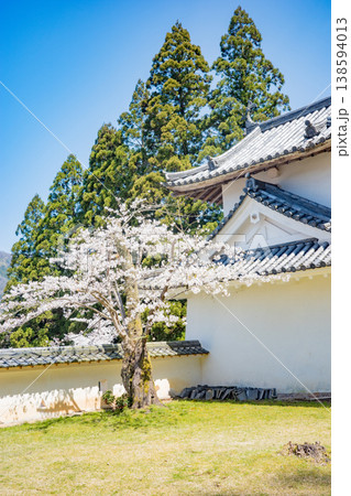 兵庫県豊岡市・桜が満開の出石城跡 兵庫県豊岡市・桜が満開の出石城跡 138594013