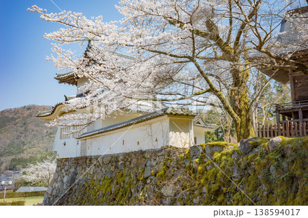 兵庫県豊岡市・桜が満開の出石城跡 138594017