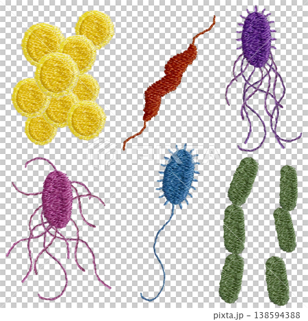【食中毒の原因菌セット】手刺繍イラスト素材 138594388