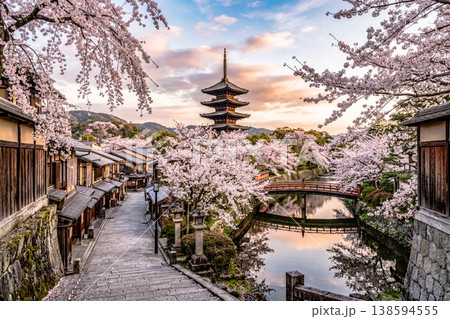京都の桜と五重塔 京都の桜と五重塔 138594555