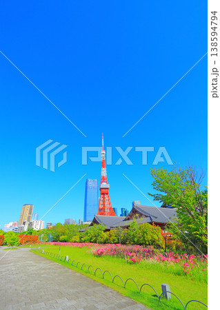 東京都港区、咲きそろう花々と東京タワーの風景 東京都港区、咲きそろう花々と東京タワーの風景 138594794