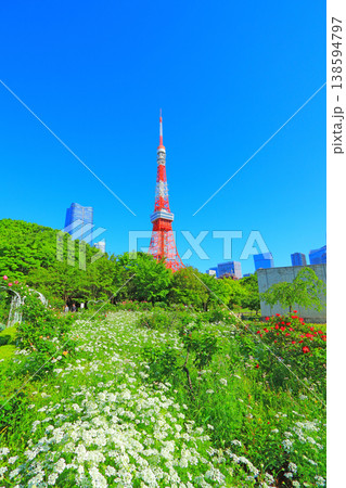 東京都港区、咲きそろう花々と東京タワーの風景 東京都港区、咲きそろう花々と東京タワーの風景 138594797