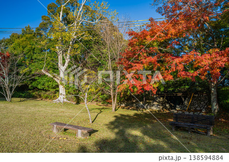 浜松市の鳥羽山公園の紅葉の風景(静岡県) 浜松市の鳥羽山公園の紅葉の風景(静岡県) 138594884