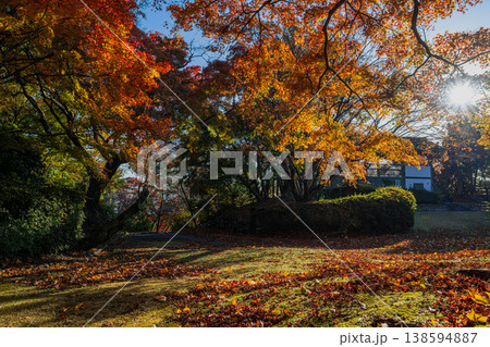 浜松市の鳥羽山公園の紅葉の風景(静岡県) 浜松市の鳥羽山公園の紅葉の風景(静岡県) 138594887