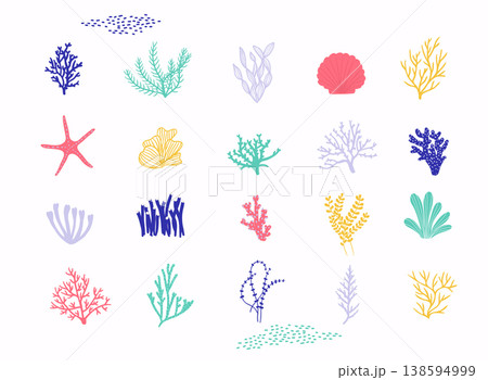 Sea plants and aquarium seaweed vector set. Vector illustration isolated on white background. Sea plants and aquarium seaweed vector set. Vector illustration isolated on white background. 138594999
