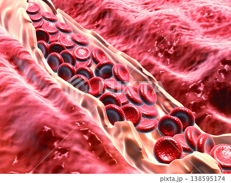 Red blood cells flowing in vein 138595174