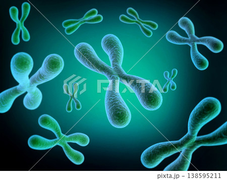 chromosomes chromosomes 138595211