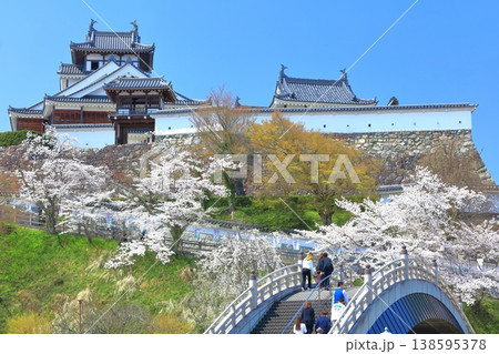 【京都府】桜が満開の福知山城と昇龍橋 【京都府】桜が満開の福知山城と昇龍橋 138595378