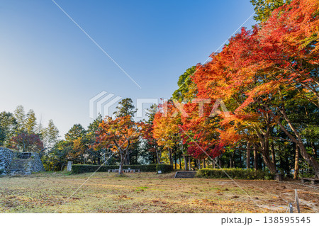 浜松市の鳥羽山公園の紅葉の風景(静岡県) 浜松市の鳥羽山公園の紅葉の風景(静岡県) 138595545
