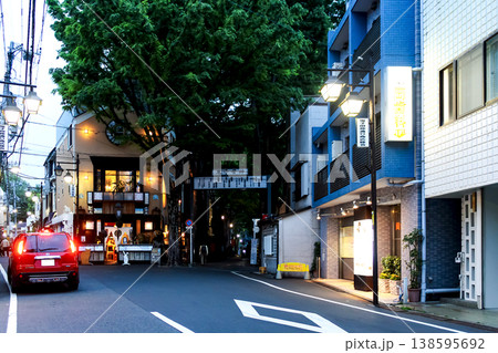 【東京】春の雑司ヶ谷 夕方の鬼子母神表参道 【東京】春の雑司ヶ谷 夕方の鬼子母神表参道 138595692