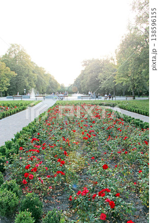 Beautiful city park with promenade path and green flower beds. Town park Beautiful city park with promenade path and green flower beds. Town park 138596155