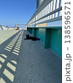 光と影の中に佇む黒猫のいる風景 138596571