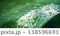 Macro green leaf dew drops sunlight soft focus fresh serene nature background 138596693