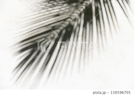 Artistic black white palm leaf shadow pattern soft sand, abstract tropical nature wallpaper dreamy fine art Artistic black white palm leaf shadow pattern soft sand, abstract tropical nature wallpaper dreamy fine art 138596705