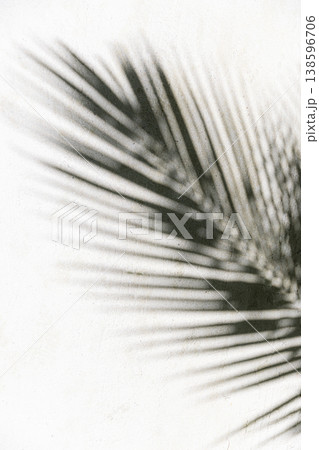 Black white palm leaf shadow soft sand, idyllic abstract tropical summer pattern artistic wallpaper Black white palm leaf shadow soft sand, idyllic abstract tropical summer pattern artistic wallpaper 138596706