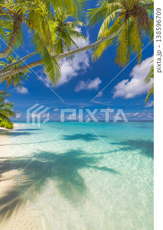 Breathtaking serene tropical beach stunning palm trees leaves blue ocean view, idyllic exotic seascape relaxation summer wallpaper, gorgeous dreamy paradise landscape radiant nature background Breathtaking serene tropical beach stunning palm trees leaves blue ocean view, idyllic exotic seascape relaxation summer wallpaper, gorgeous dreamy paradise landscape radiant nature background 138596709