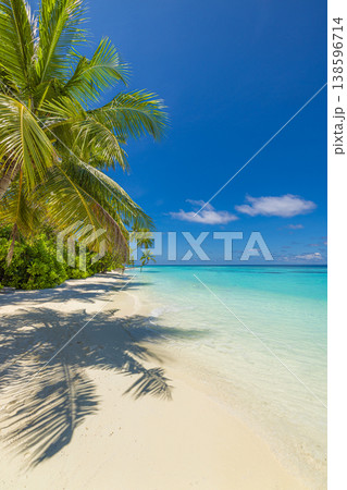 Breathtaking tropical beach island paradise majestic scenic nature, stunning summer background dreamy turquoise ocean pristine white sand, gorgeous radiant landscape wallpaper vacation travel 138596714