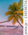 Breathtaking dream travel carefree freedom sunset beach palm tree swing hammock soft white sand stunning ocean view, immersive gorgeous summer vacation background tropical paradise landscape wallpaper 138596716