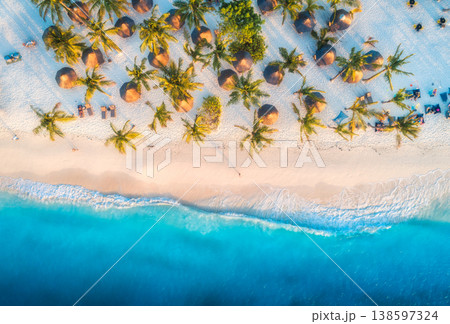 Aerial view of umbrellas, palms on the sandy beach 138597324