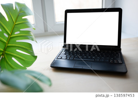 Laptop near window with green plant cozy home office Laptop near window with green plant cozy home office 138597453