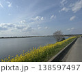 湖畔に咲く菜の花と青空が広がる春の風景 138597497