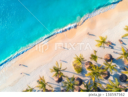 Aerial view of umbrellas, palms on the sandy beach Aerial view of umbrellas, palms on the sandy beach 138597562