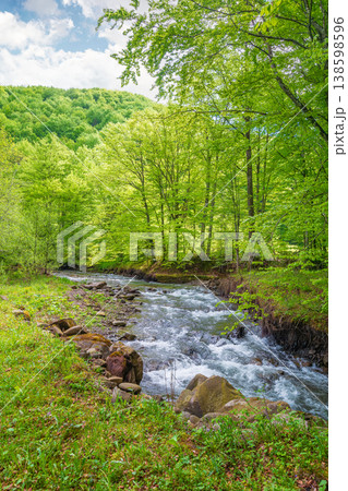 landscape in mountains, forest and a river in front. beautiful view in spring. fresh water in the beech forest of carpathian mountains. cloudy weather, rocky shore 138598596