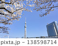 桜とスカイツリー 138598714