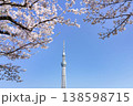 桜とスカイツリー 138598715