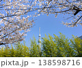 桜とスカイツリー 138598716