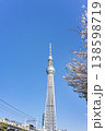 桜とスカイツリー 138598719