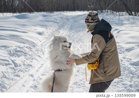 Woman training fluffy samoyed dog to give paw in winter snow Woman training fluffy samoyed dog to give paw in winter snow 138599009