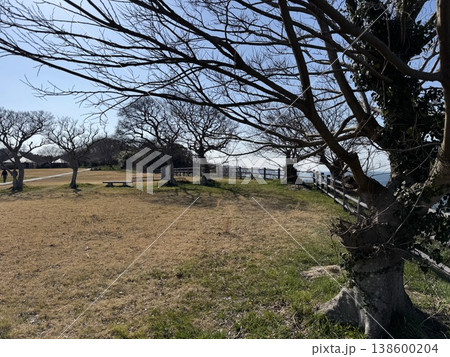 能登半島最先端(撮影地:禄剛埼灯台 ※石川県珠洲市、撮影時期:3月) 能登半島最先端(撮影地:禄剛埼灯台 ※石川県珠洲市、撮影時期:3月) 138600204