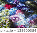 水に浮かぶ紫陽花 138600384