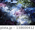 水に浮かぶ紫陽花 138600412