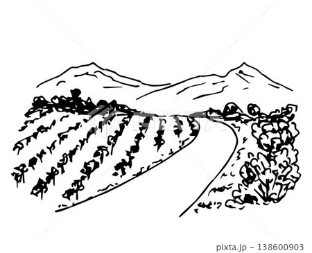Hand drawn ink vector simple doodle. Vineyard landscape, rows of grape bushes, perspective, rural road, outlines of mountains on the horizon. Engraving style, label printing, wine list, countryside. 138600903