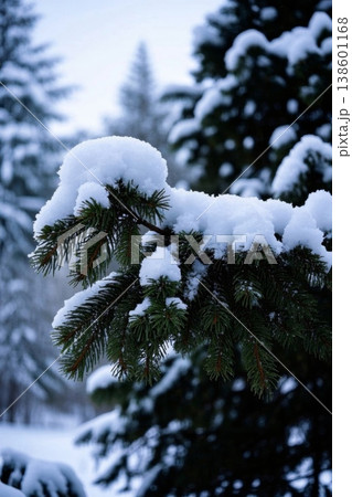 雪景 銀世界 雪景色 138601168