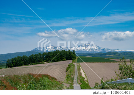 初夏の畑作地帯と残雪の山並み 大雪山 初夏の畑作地帯と残雪の山並み 大雪山 138601402