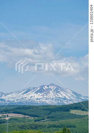 初夏の残雪の山頂と緑の森　大雪山 138601404
