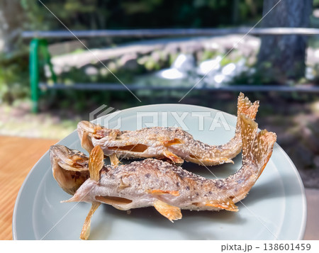 川魚料理。渓流の女王、アマゴ(ヤマメ)の塩焼き。和食の焼き魚。 川魚料理。渓流の女王、アマゴ(ヤマメ)の塩焼き。和食の焼き魚。 138601459