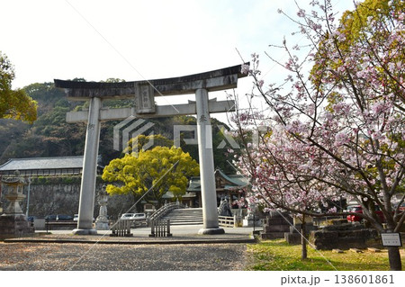 和霊神社と桜 和霊神社と桜 138601861