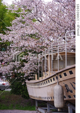 桜に囲まれた船のある風景 桜に囲まれた船のある風景 138601985
