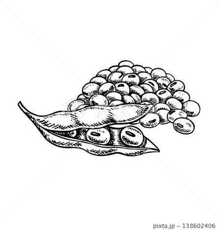 A pile of soybeans and a soy pod. Black and white vector graphic illustration. Isolate. Perfect for creating product labels, posters, banners, menus, and more. 138602406