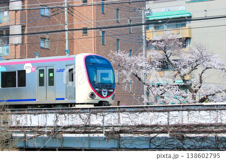 2000系にとって初めて迎えた桜の季節 2000系にとって初めて迎えた桜の季節 138602795