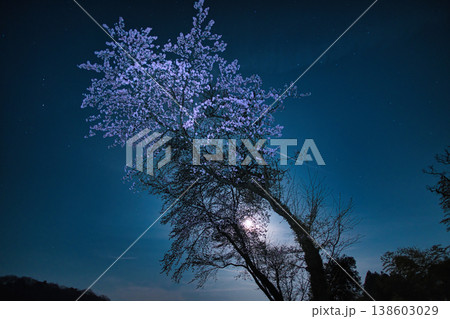 栃木県那須塩原市 満月と満開の夜桜の風景 栃木県那須塩原市 満月と満開の夜桜の風景 138603029