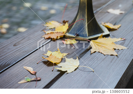 Autumn atmosphere, natural textures and seasonal change with shallow depth of field. Autumn atmosphere, natural textures and seasonal change with shallow depth of field. 138603552